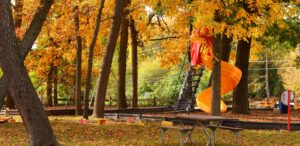 a park with a bench and a ladder