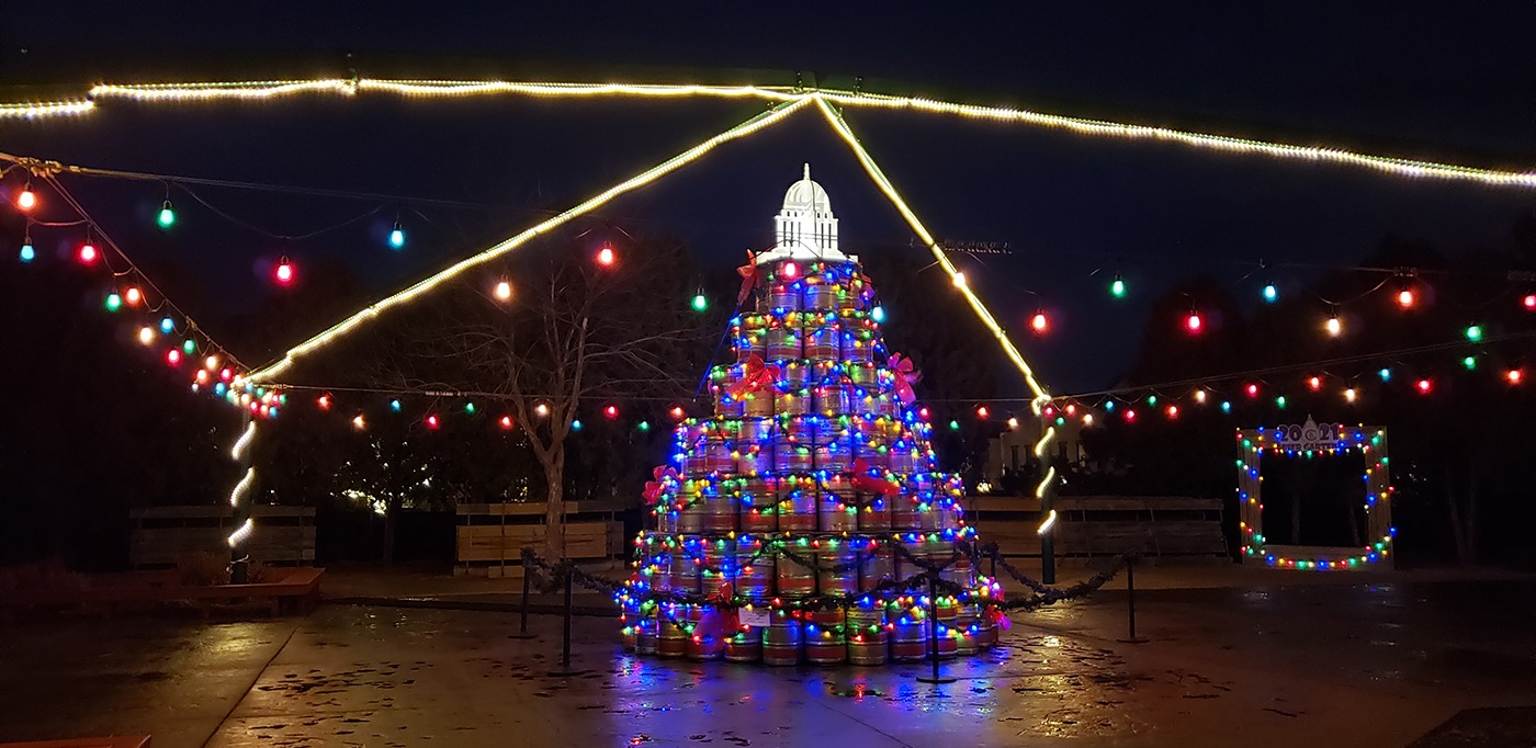 a lit up christmas tree in a park at night