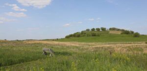 a bench sitting in the middle of a field