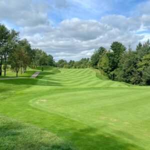 a view of a golf course from the green