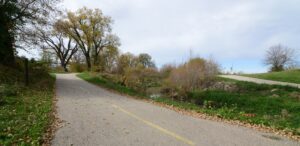 a paved road surrounded by trees and grass
